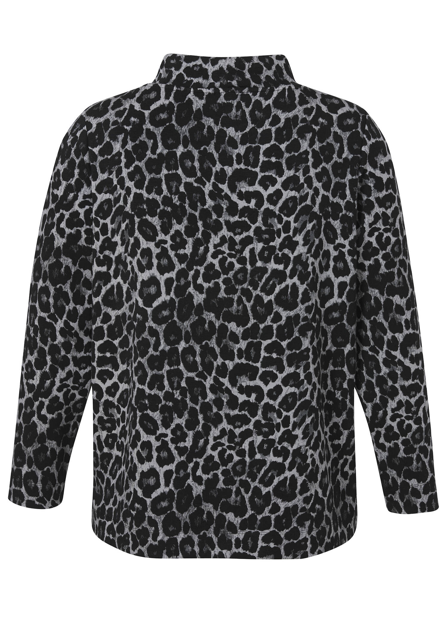 Stehkragen-Sweatshirt Modern Leo / 