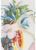 Softes Baumwoll-Shirt mit Früchte-Motiv / 
