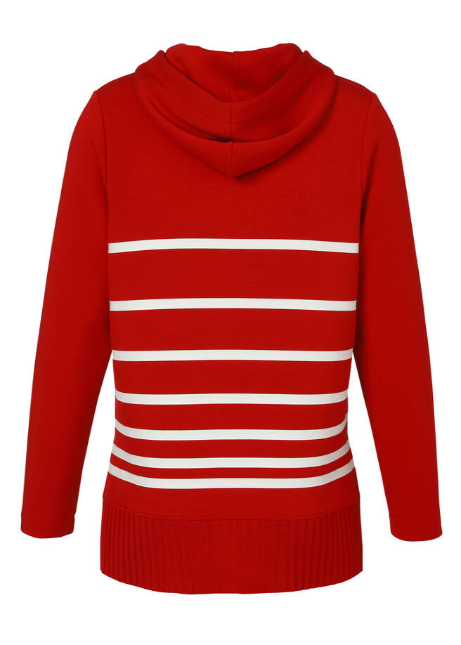 Gestreiftes Sweatshirt Hoodie / 